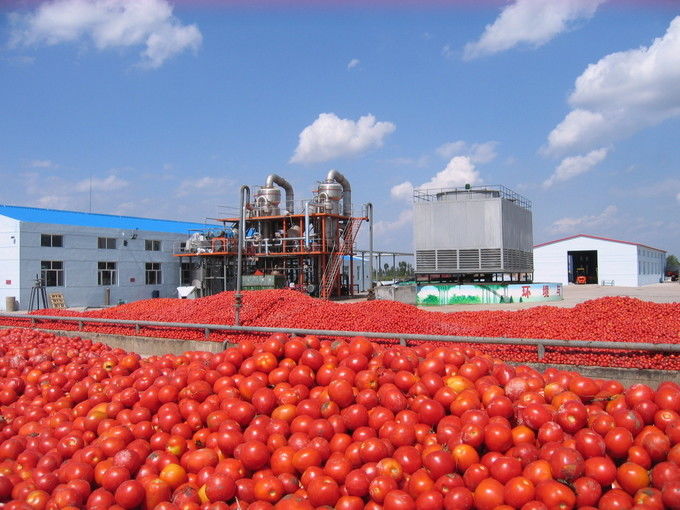 Arkhum (Tianjin) Health Technology Co., Ltd.